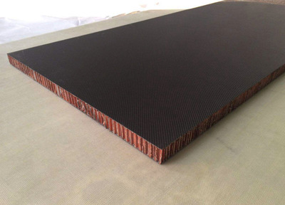 碳纖維復合材料夾芯板